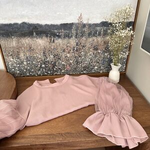 Pink Ruffled Sleeve Chiffon Blouse